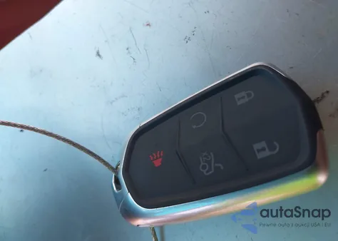 2024 Kia Telluride Sx X-Line z USA, uszkodzony, nr VIN 5XYP5DGC2RG540335